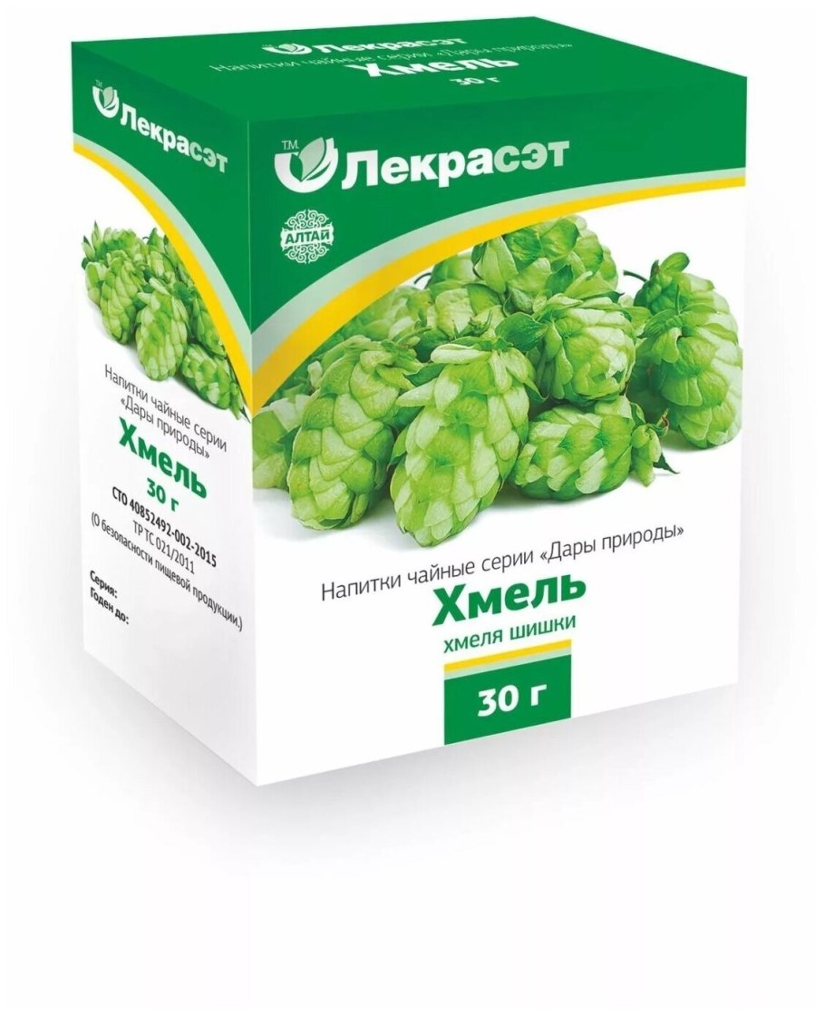 Соплодия хмеля обыкновенного