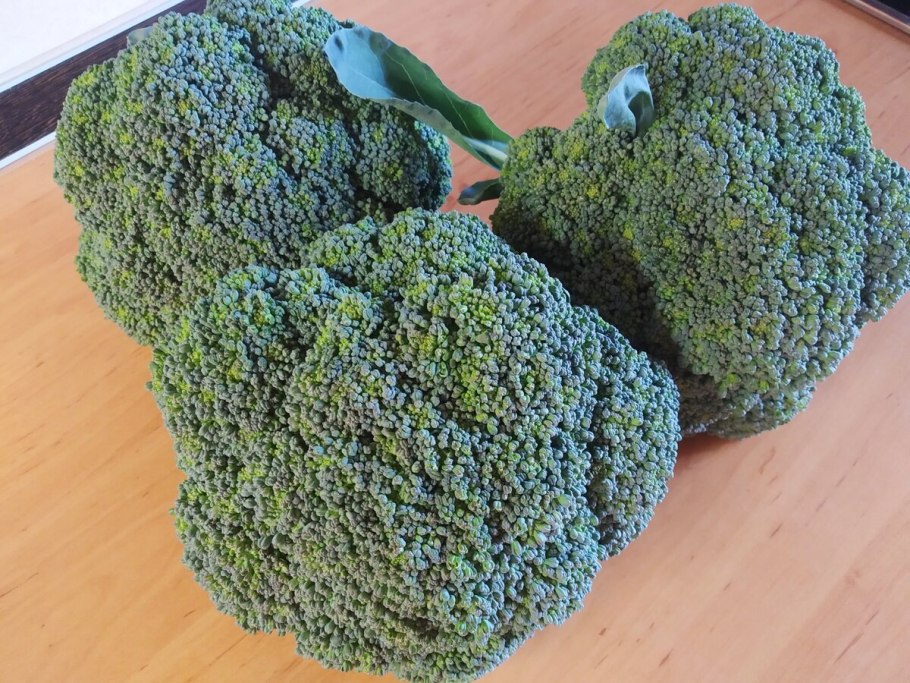 Как растет брокколи