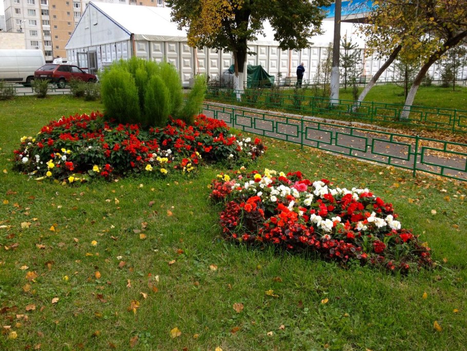 Комдрагмет клумбы