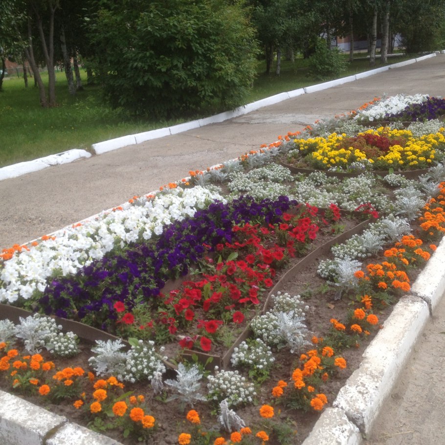Клумбы для школьного двора