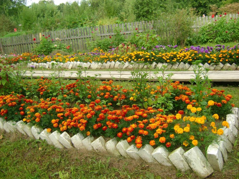 Клумбы на пришкольном участке