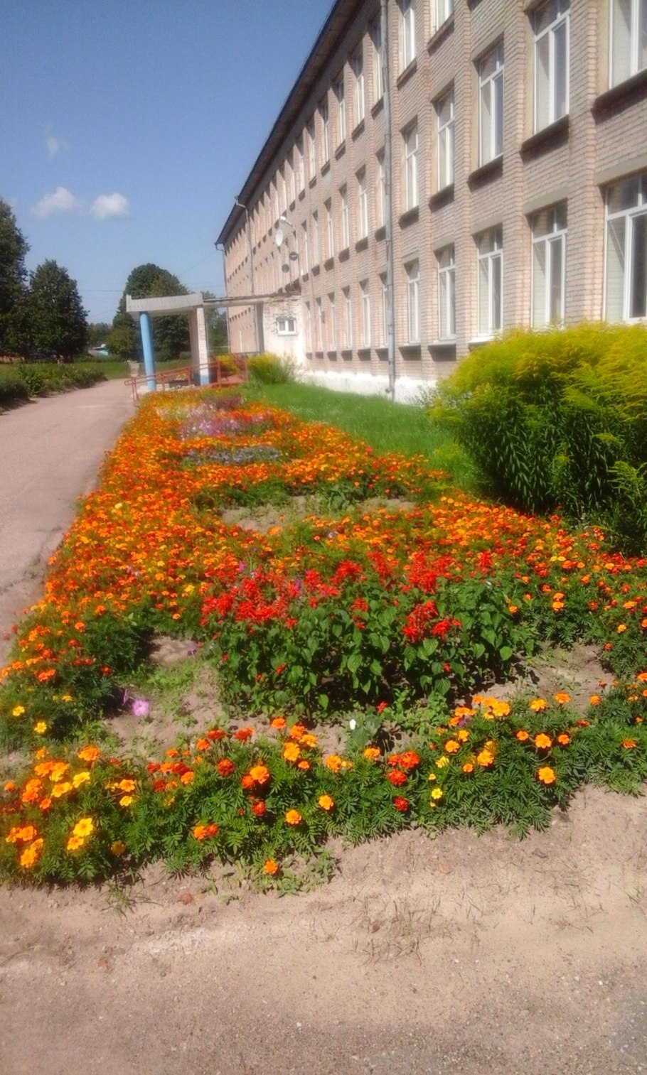 Цветочные клумбы около школы