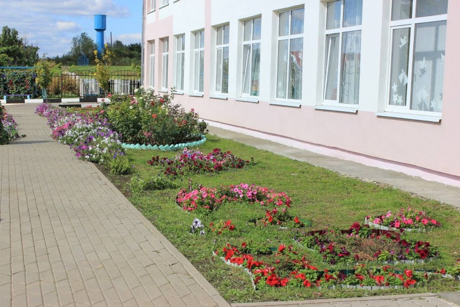 Озеленение школьного участка