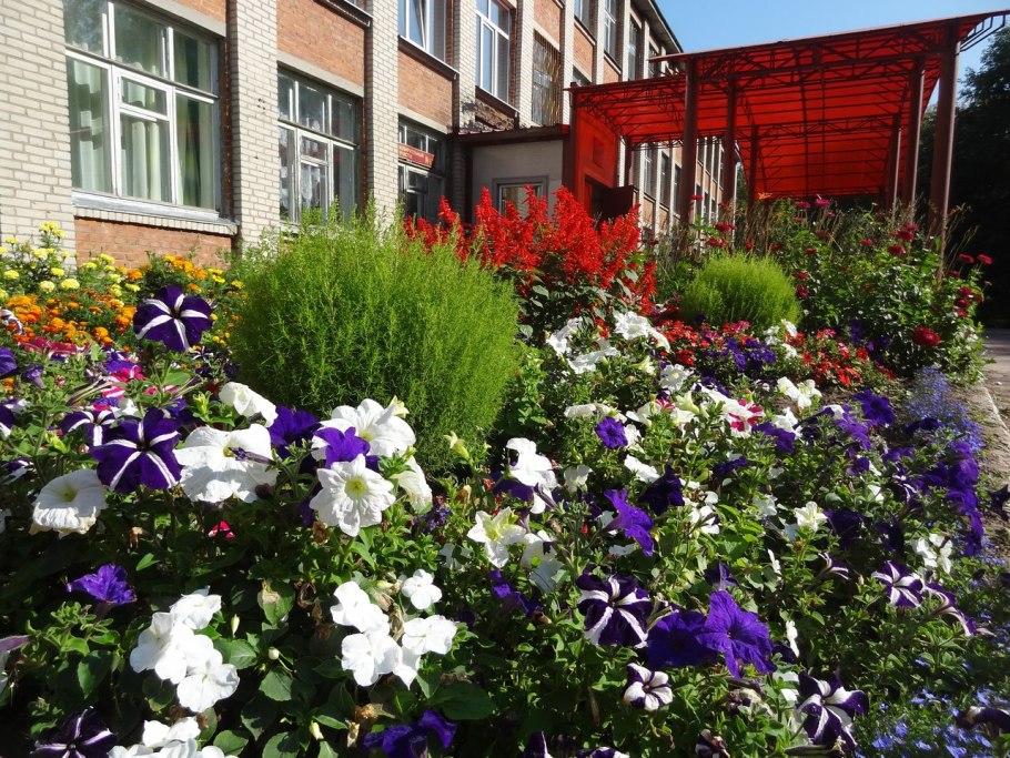 Клумбы около школы