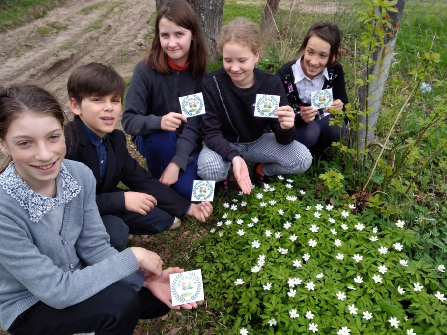 Парк Маяковского в Екатеринбурге клумбы