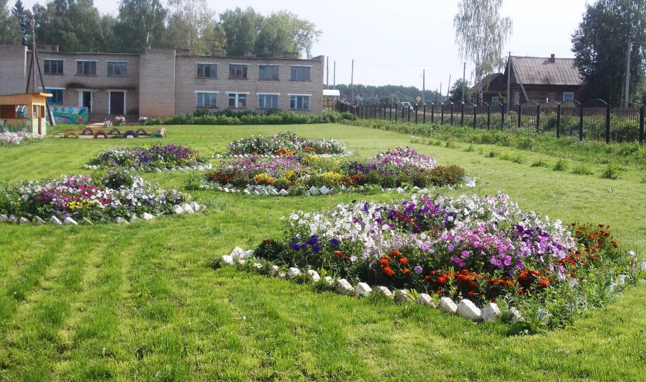 Клумба петуния лилейник