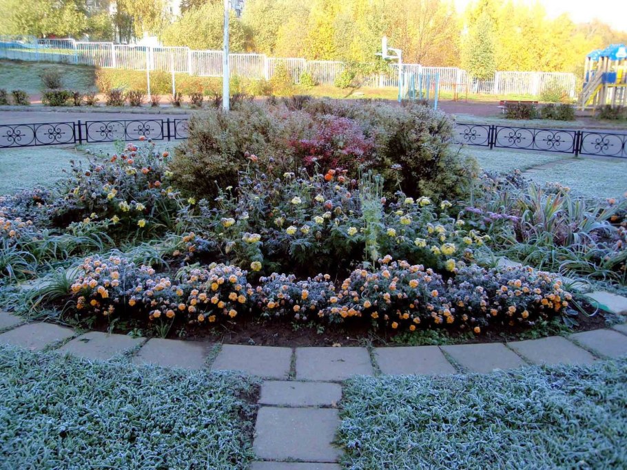 Клумба треугольной формы