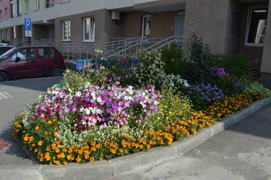Цветник около школы