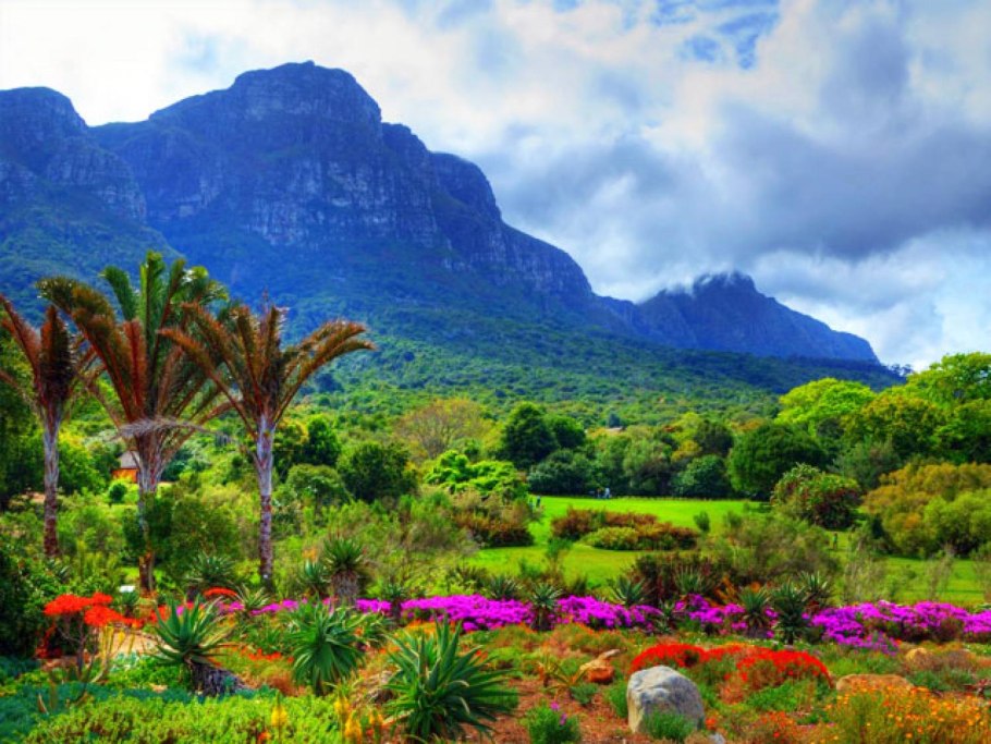 Ботанический сад Кирстенбош Кейптаун