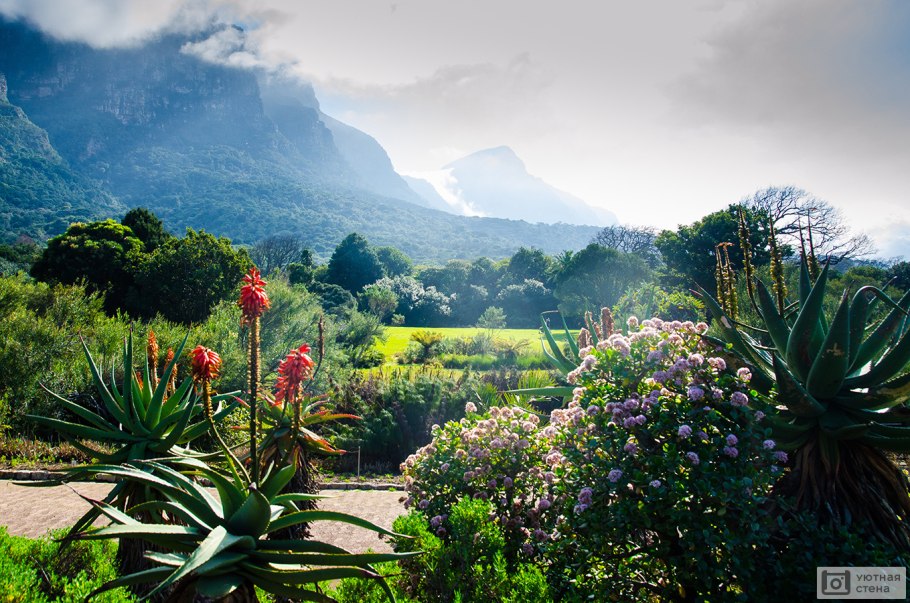 Кирстенбош Кейптаун