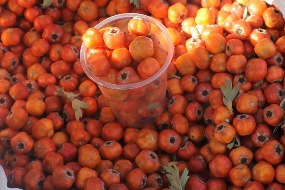 Дулана Дулана