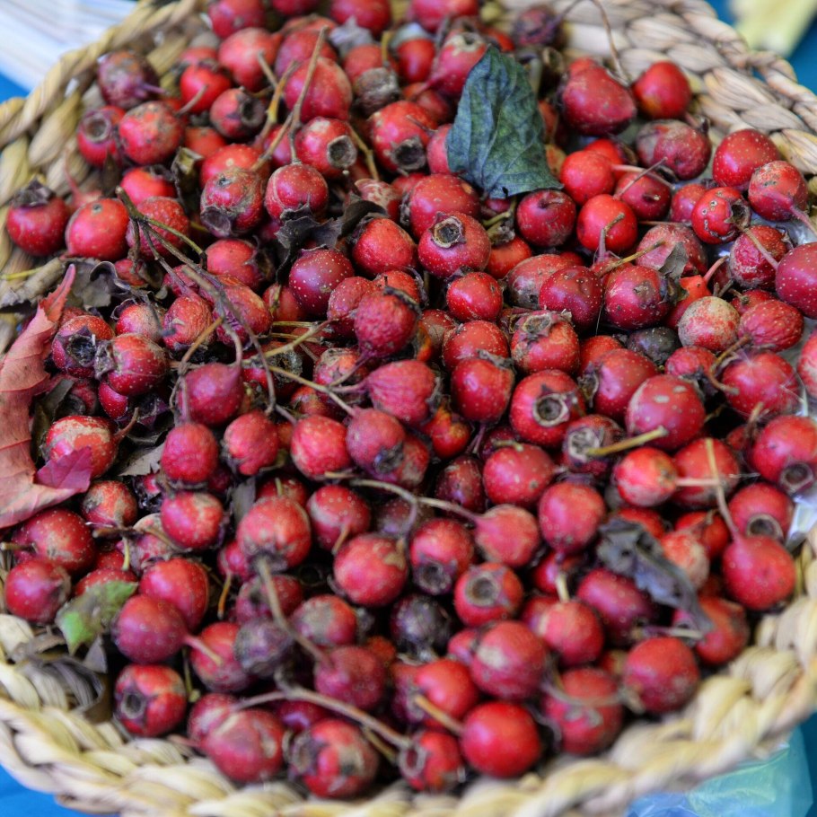 Боярка ягода Узбекистан