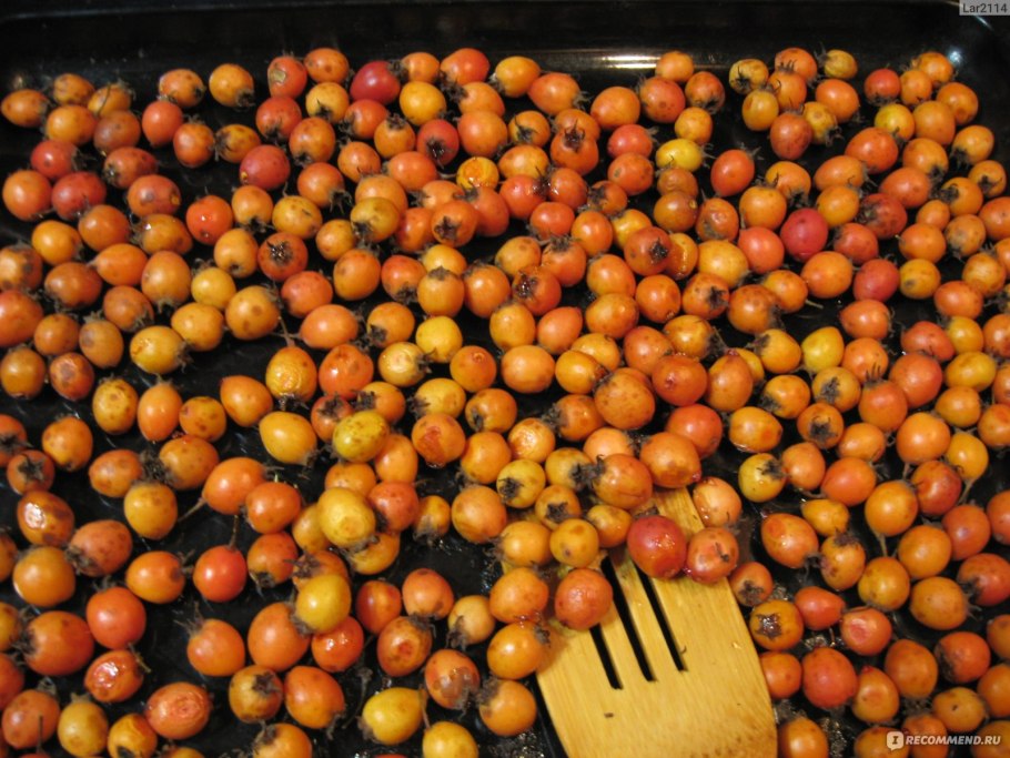 Боярка ягода Узбекистан