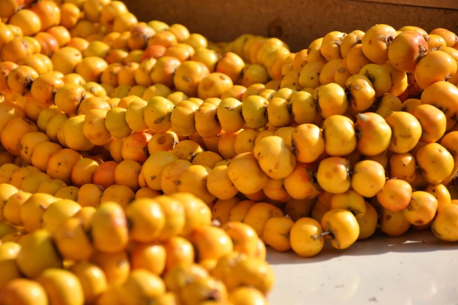 Дулана Дулана