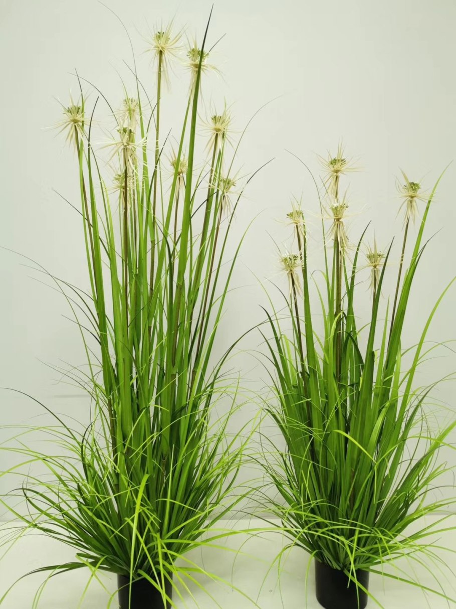 Трава на белом фоне