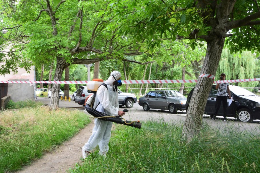 Амброзия полыннолистная (Ambrosia artemisiifolia l.)