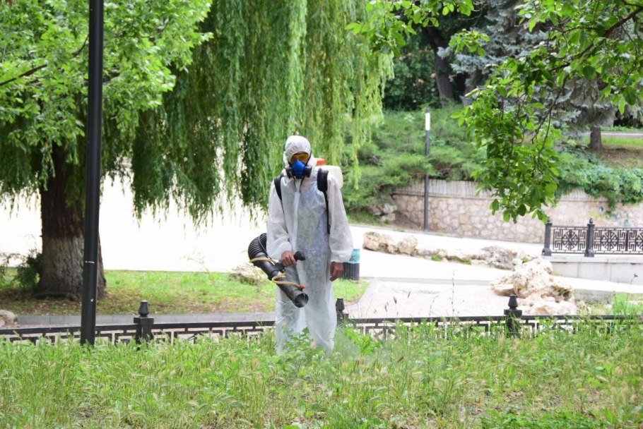 Амброзия трехраздельная