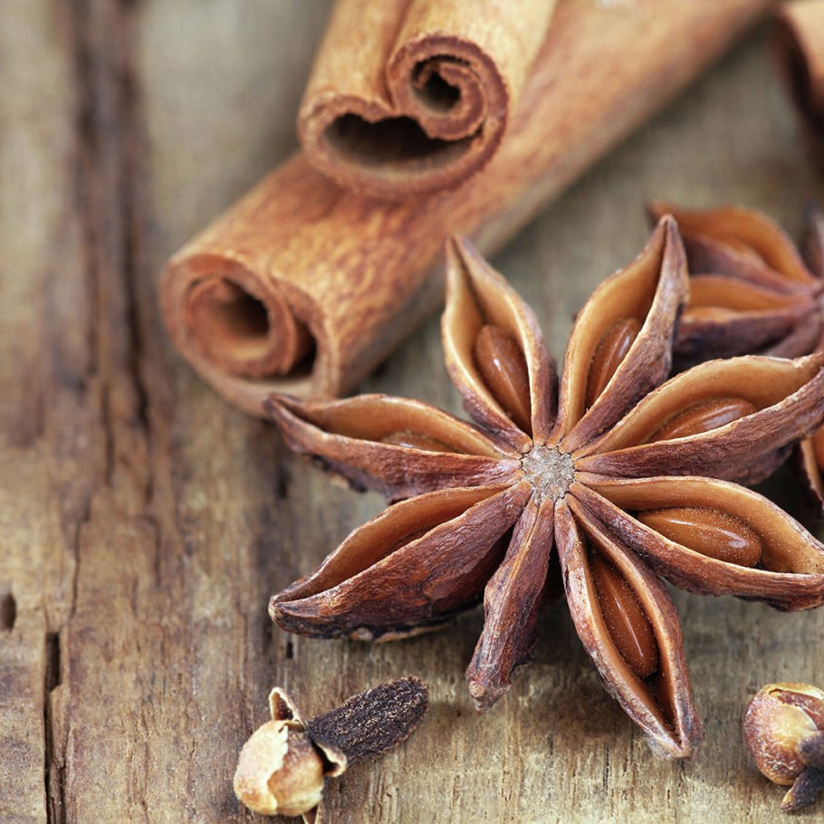 Анис (бадьян)