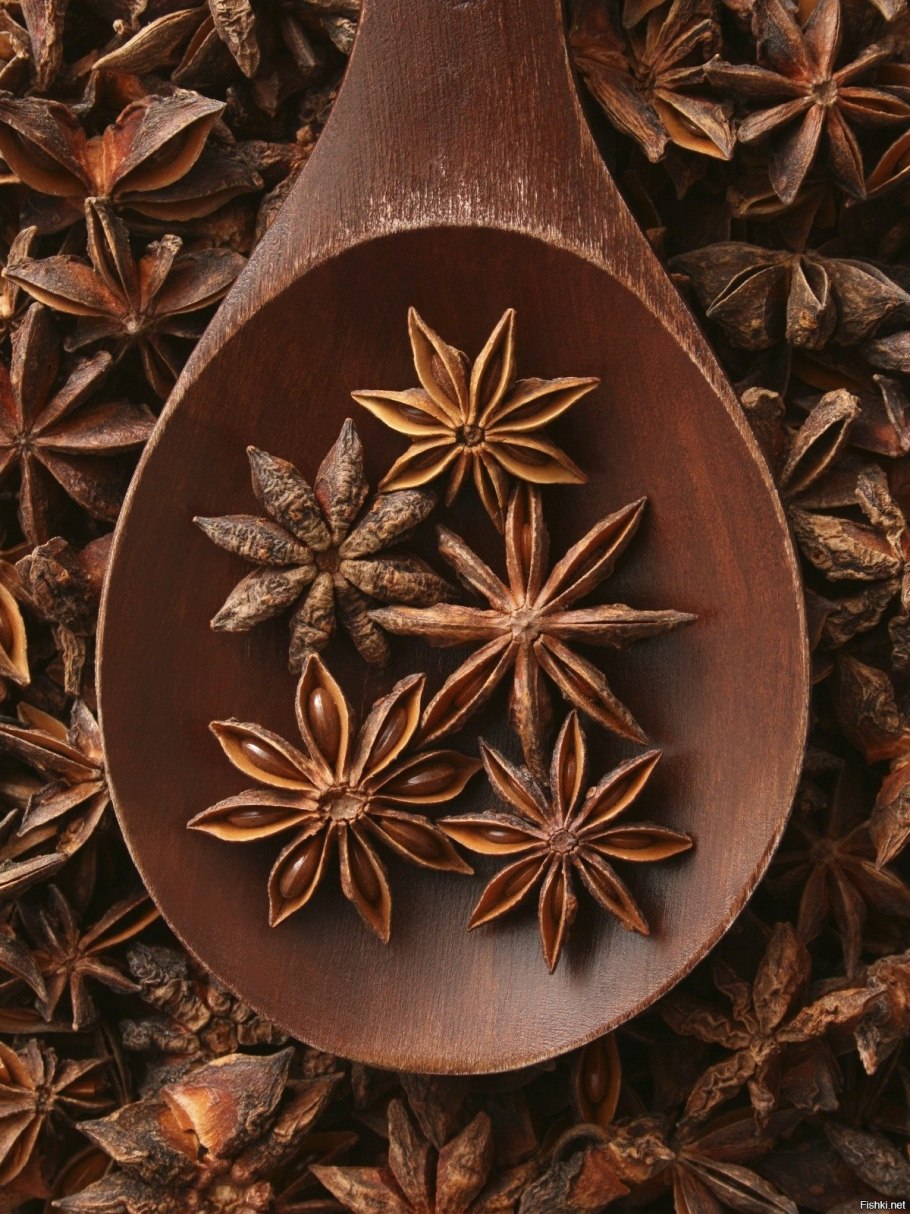 Бадьян - ани́с звёздчатый