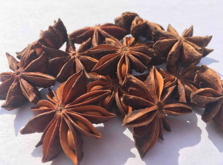 Бадьян - ани́с звёздчатый