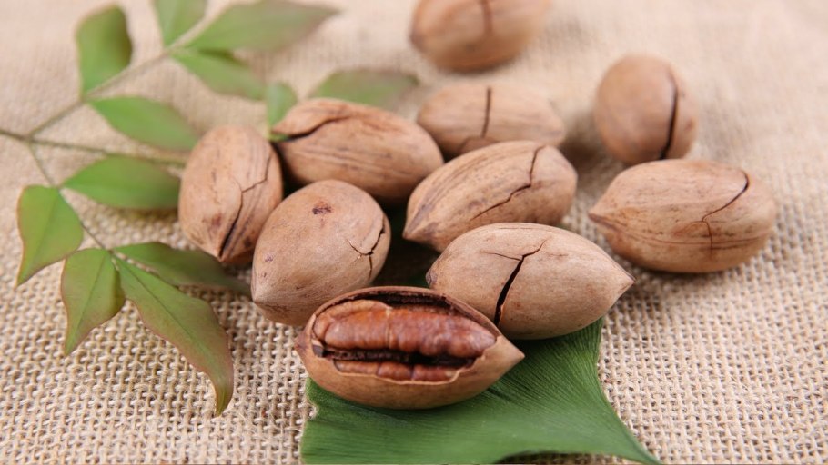 Орех пекан неочищенный