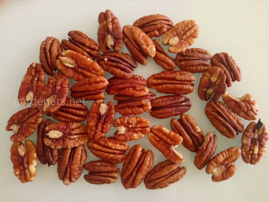 Сортов бывает пекан