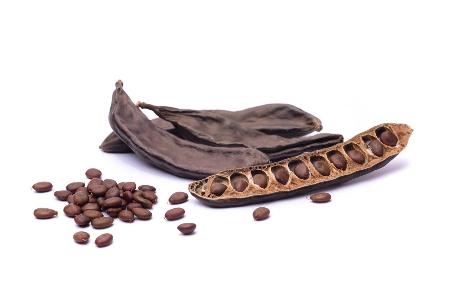 Кэроб рожковое дерево