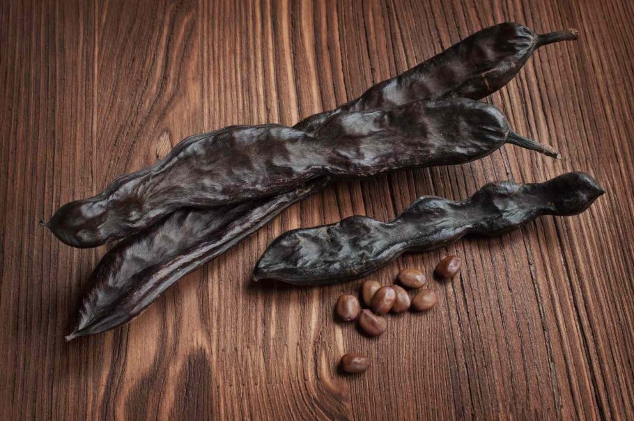 Ceratonia Siliqua рожковое дерево