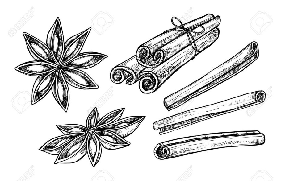 Кориандр зонтичные