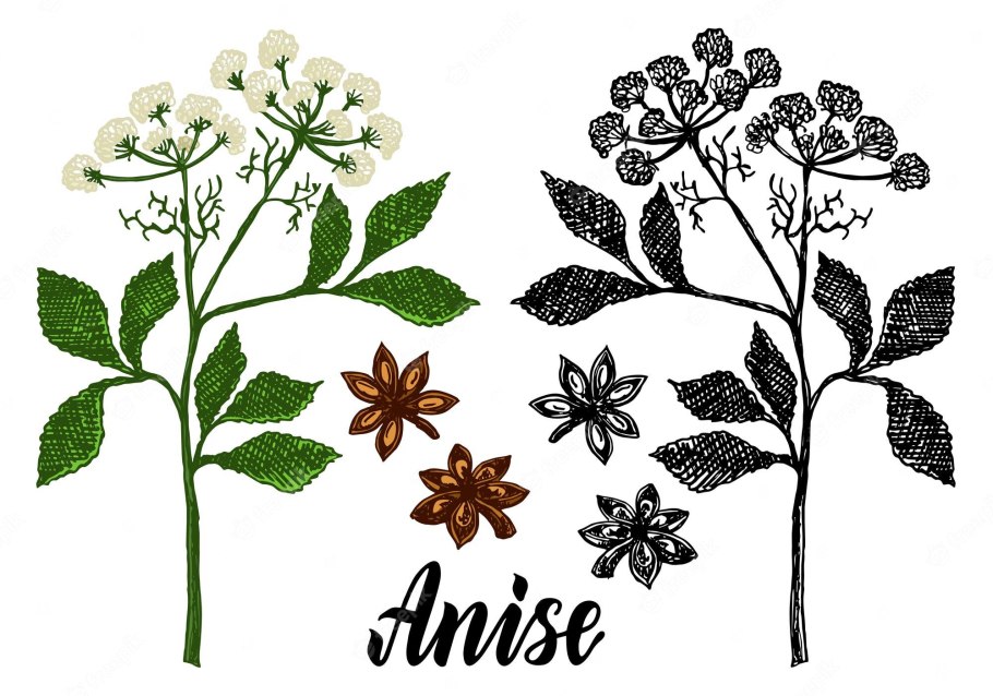 Роспись связана с аниса