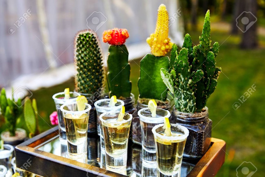 Опунция текила Кактус текила