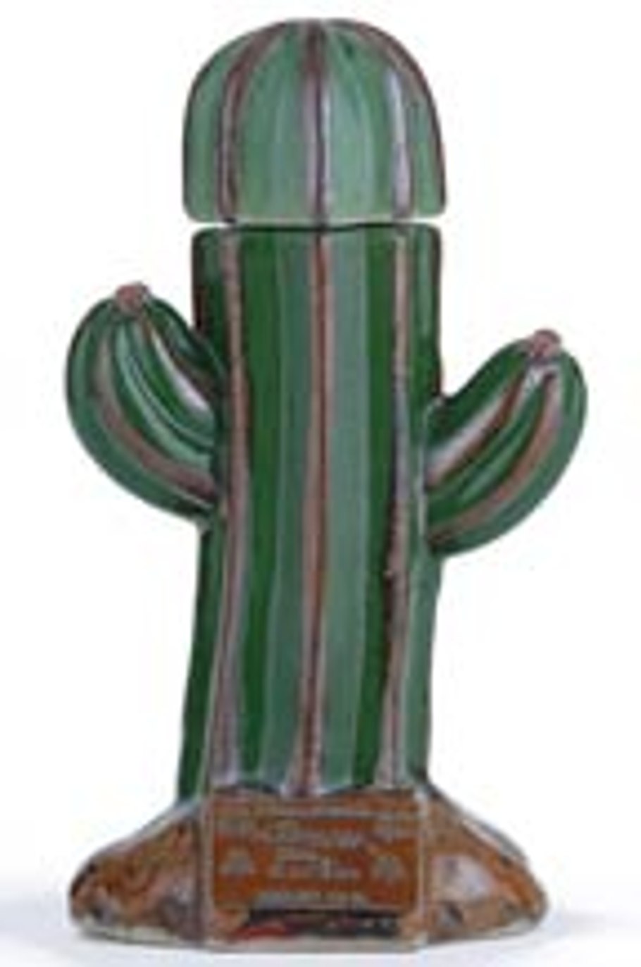 Текила с кактусом в бутылке