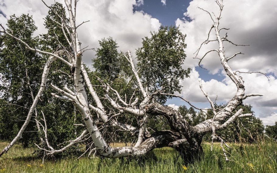 Медведицкая гряда синяя гора