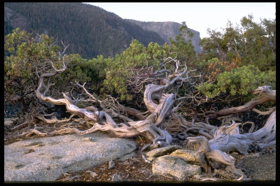 Аномалии природы