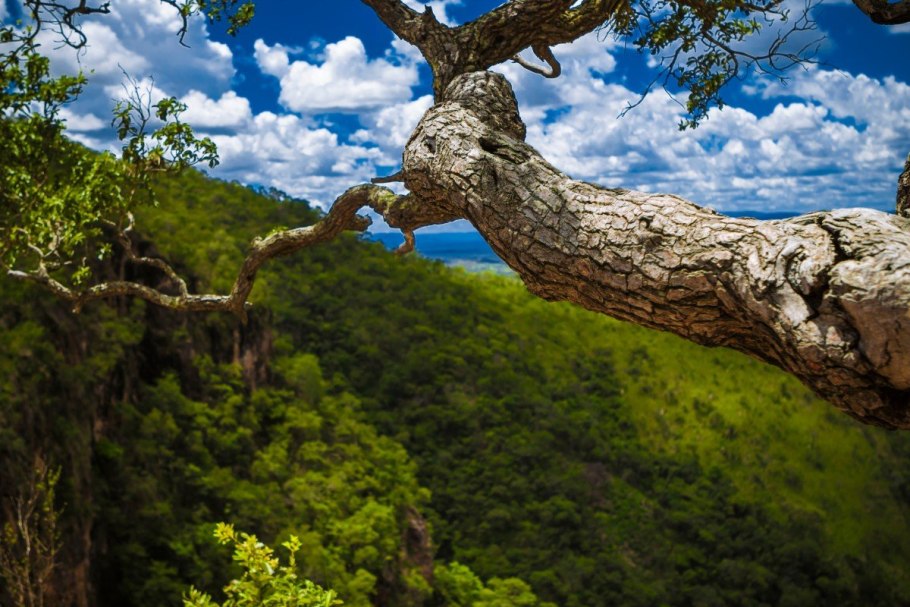 Медведицкая гряда Чертово Логово