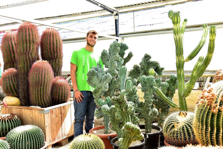 Myrtillocactus geometrizans f