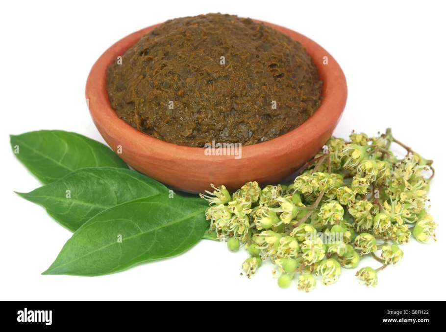 Бальзамин Кэтрин