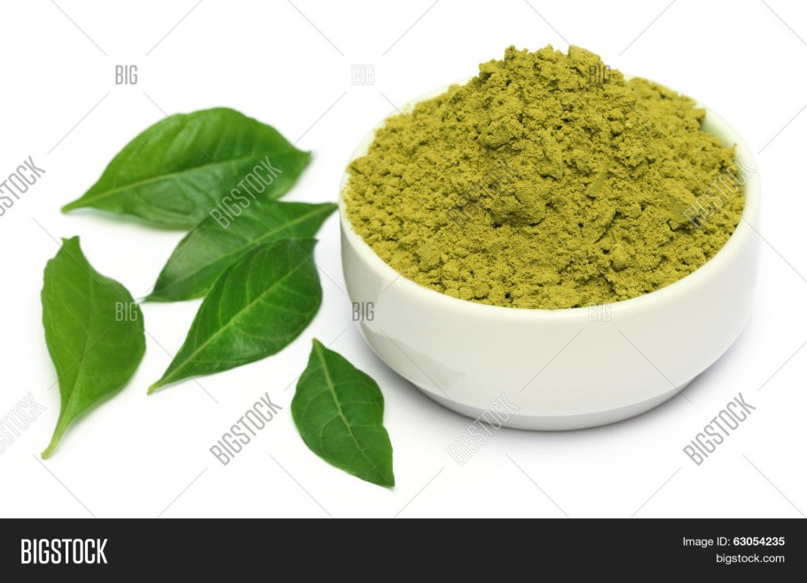 Лавсония неколючая растение