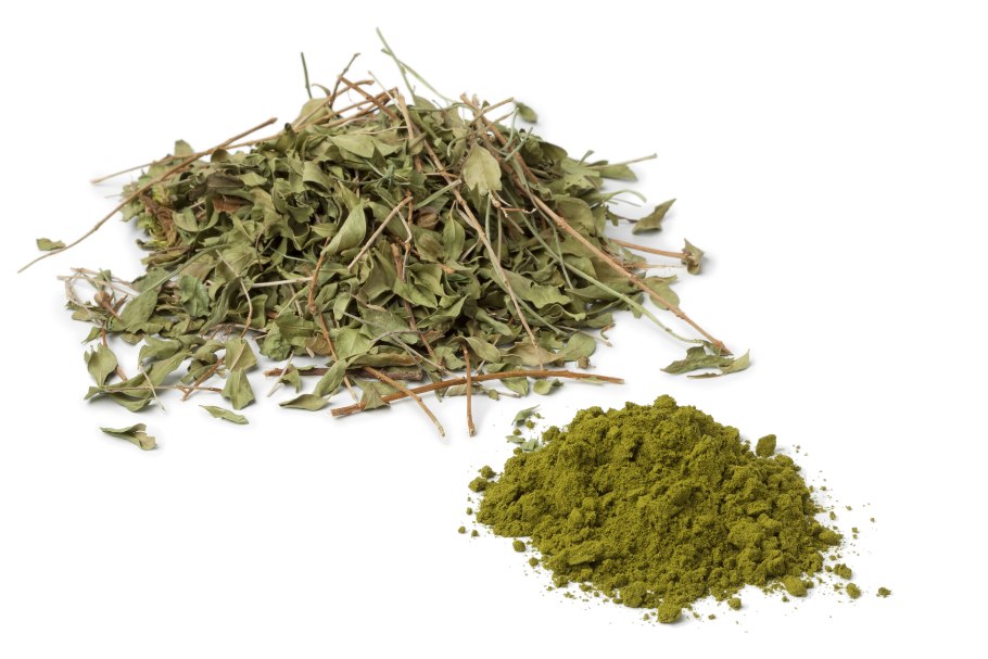 Лавсония хна растение