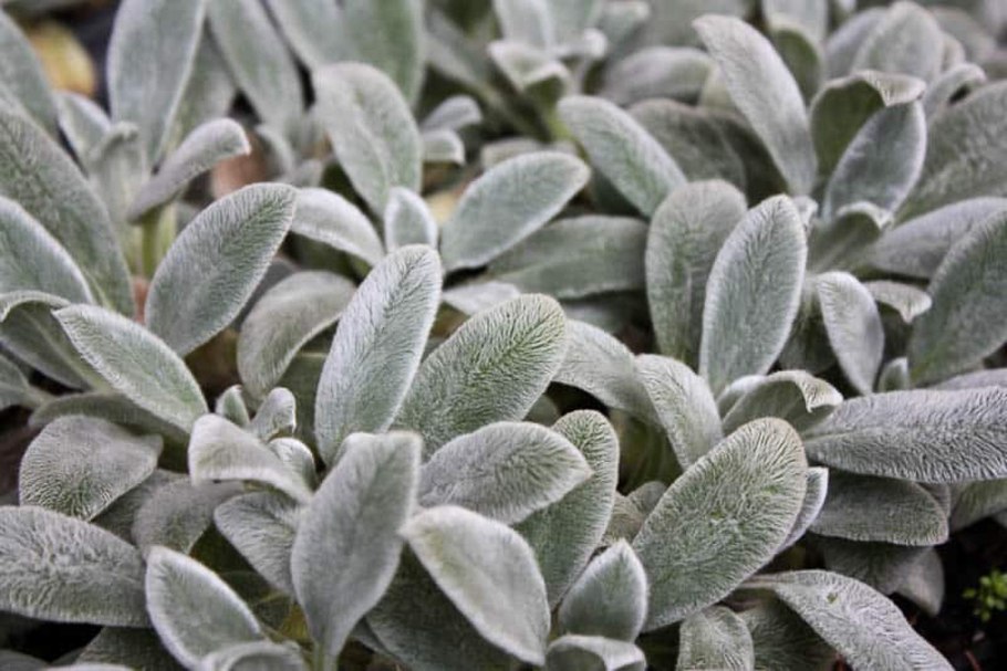 Костюм оленя на новый год