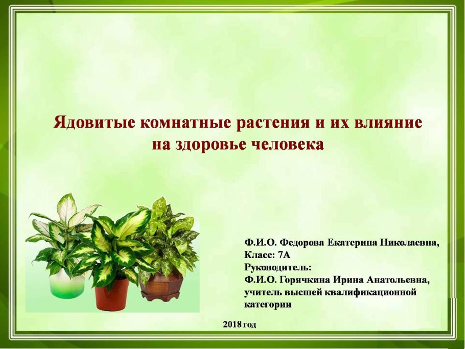 Ядовитые комнатные цветы