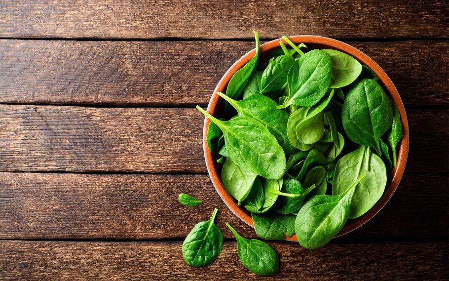 Шпинат щавель отличия