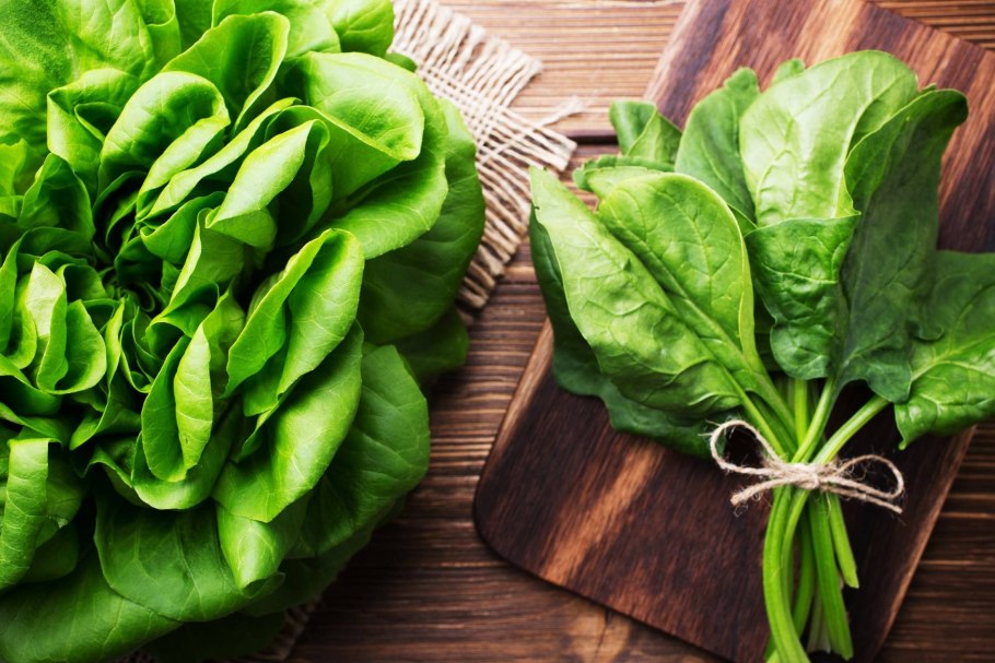 Шпинат свой урожай