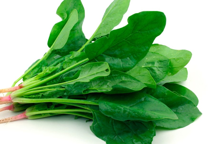 Шпинат огородный