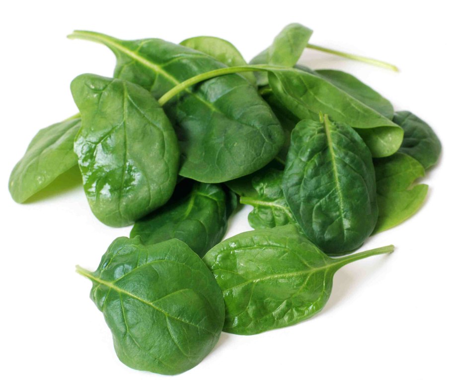 Шпинат кислятка