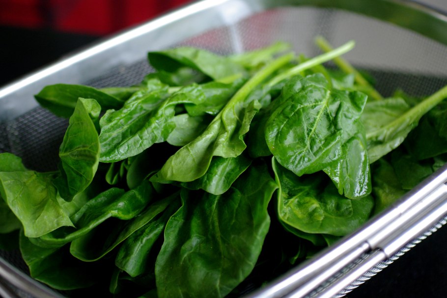 Растение шпинат огородный