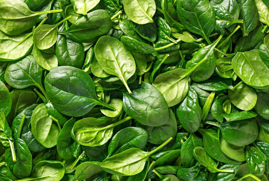 Шпинат Тетрагония