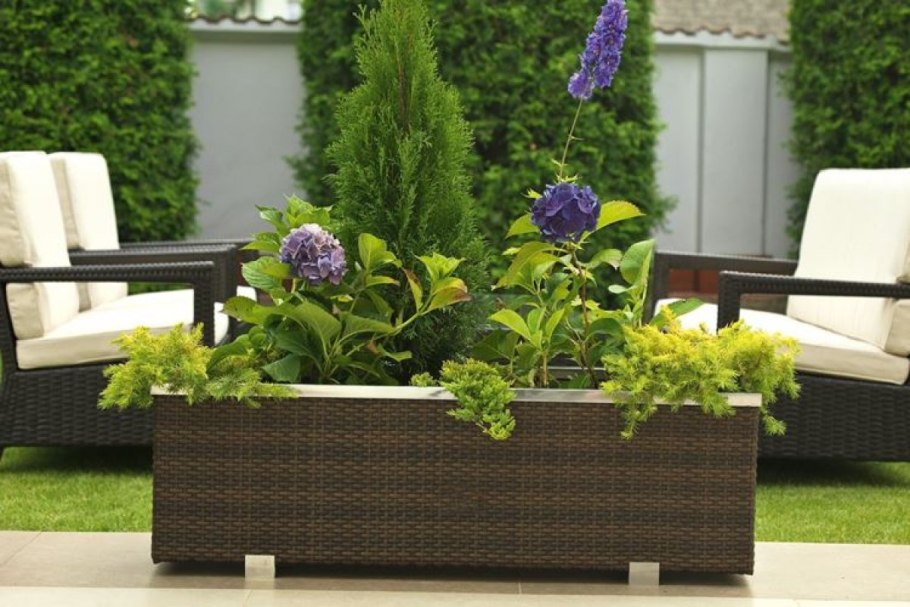 Контейнерное Озеленение патио
