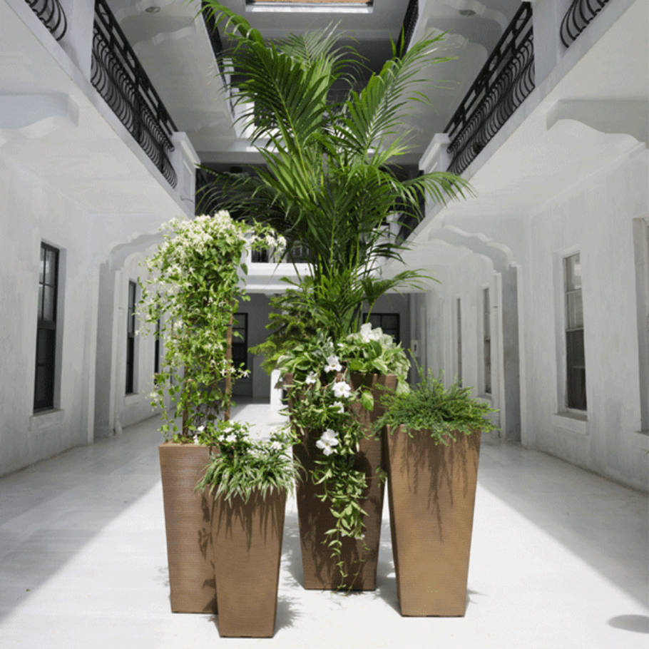 Контейнерное Озеленение Юкка