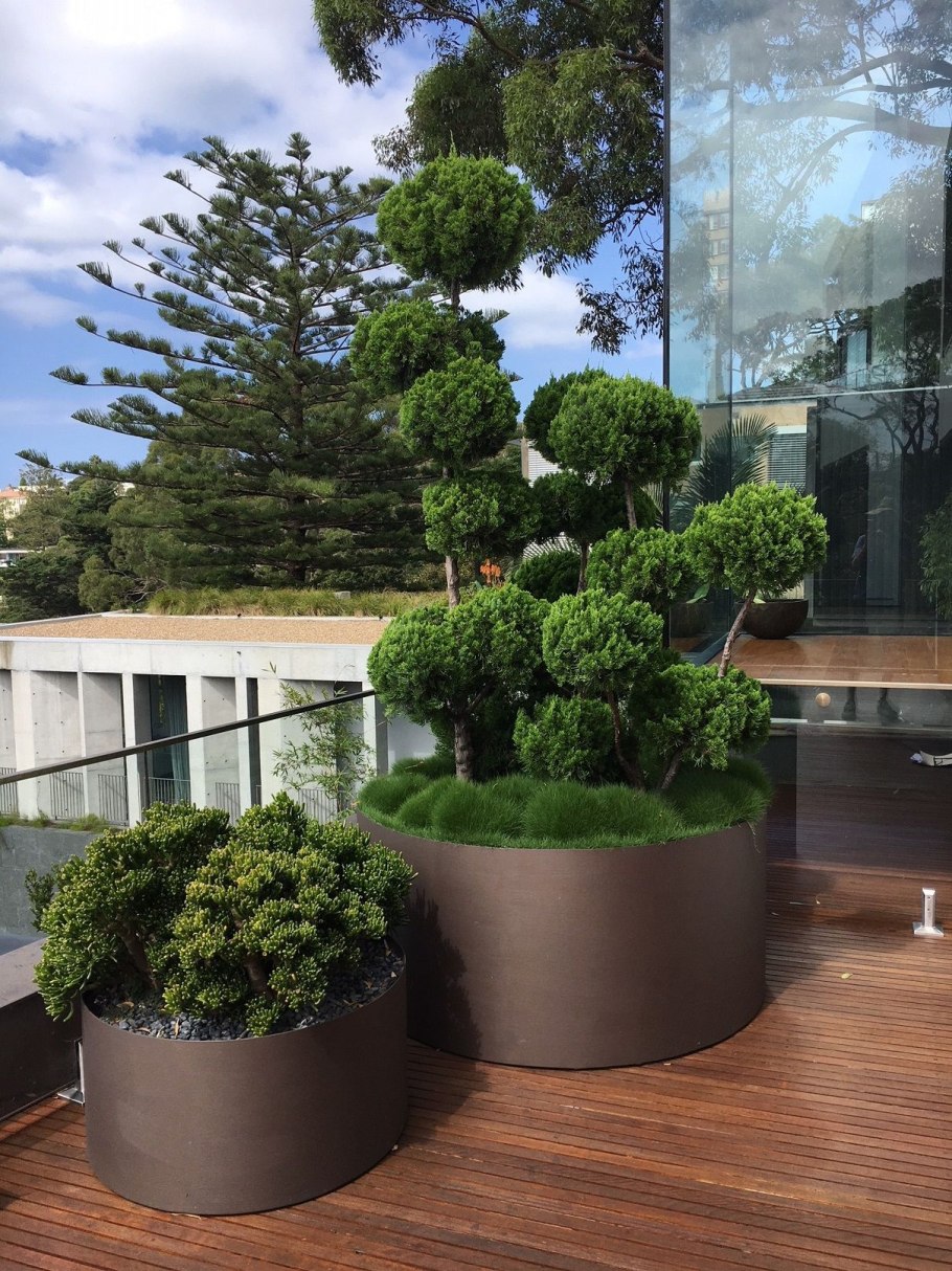 Контейнерное Озеленение